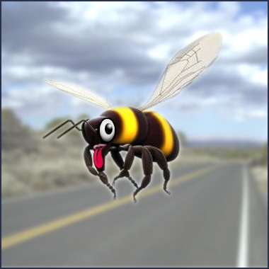 Bee