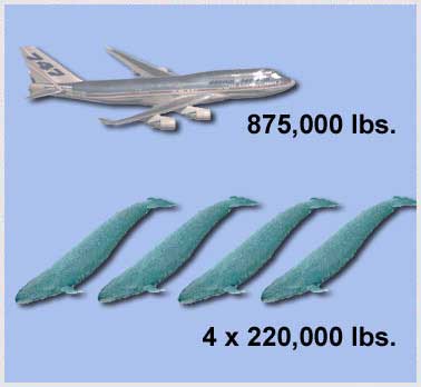 Introduction to Aerodynamics