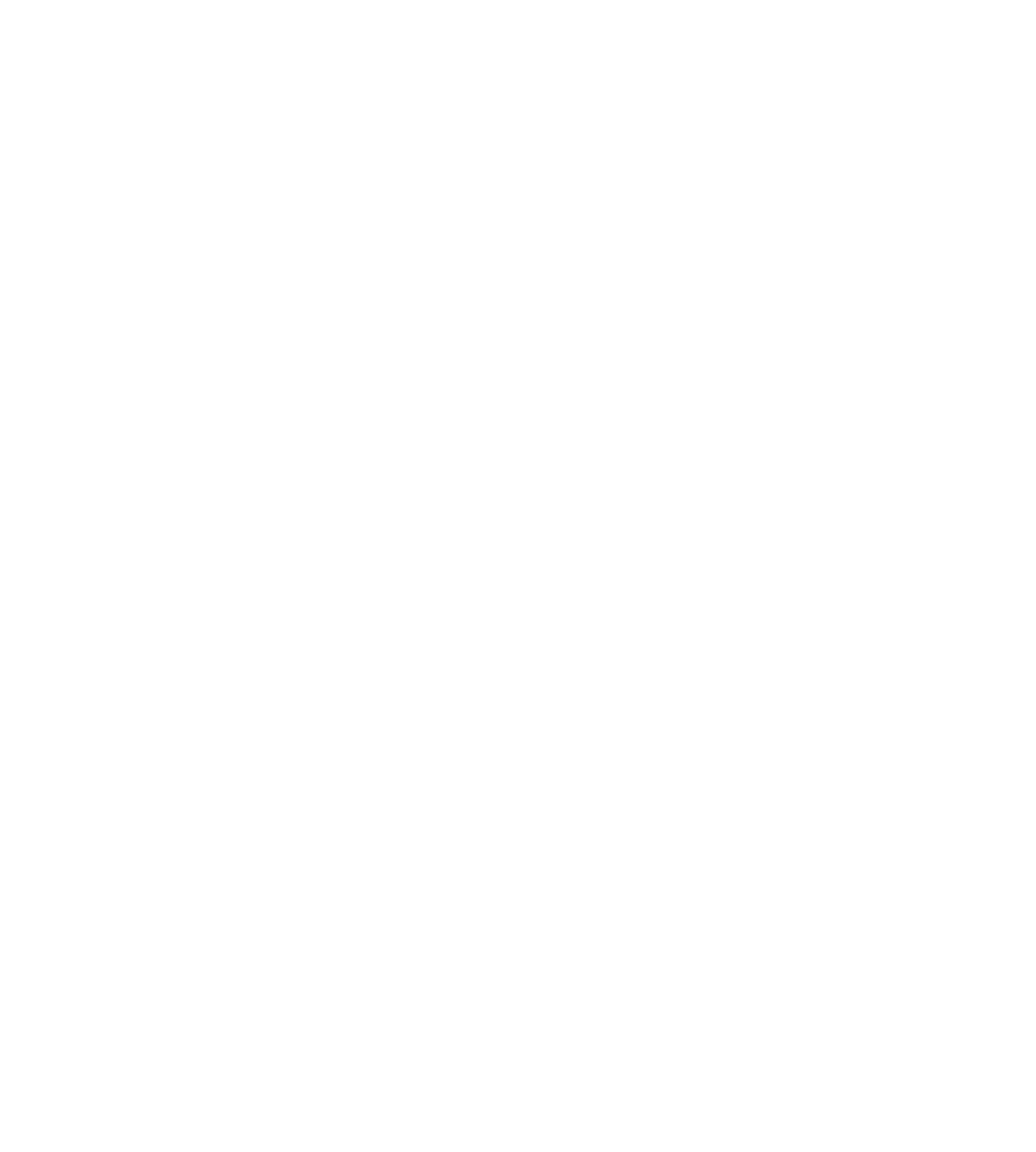 ERAU Eagle Logo